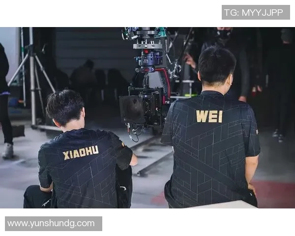 赛后分析：RNG与V5对决中的战术运用与团队协作经验总结